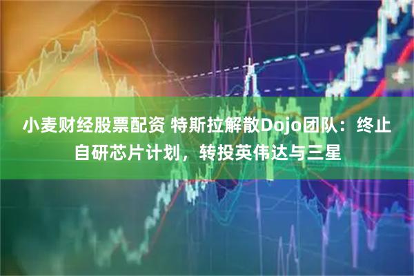 小麦财经股票配资 特斯拉解散Dojo团队：终止自研芯片计划，转投英伟达与三星