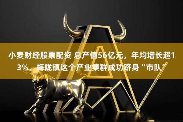 小麦财经股票配资 总产值56亿元，年均增长超13%，梅陇镇这个产业集群成功跻身“市队”